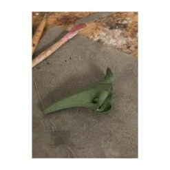 Nez Gobelin -Jeu De Rôle nez gobelin 2