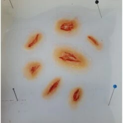 Prothèses Transfert - Coups Et Blessures -Jeu De Rôle protheses transfert coups et blessures 4