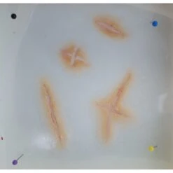 Prothèses Transfert - Fausses Cicatrices